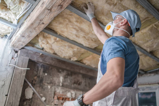 Best Insulation for Specific Applications in Pasatiempo, CA