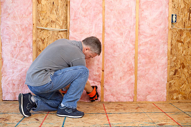 Best Insulation Materials and Products in Pasatiempo, CA