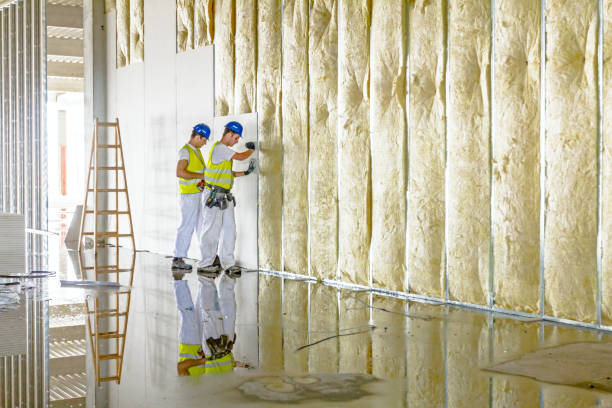 Best Types of Insulation in Pasatiempo, CA
